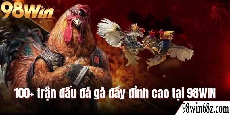 Tận hưởng 100+ trận đấu đá gà đầy đỉnh cao tại 98WIN