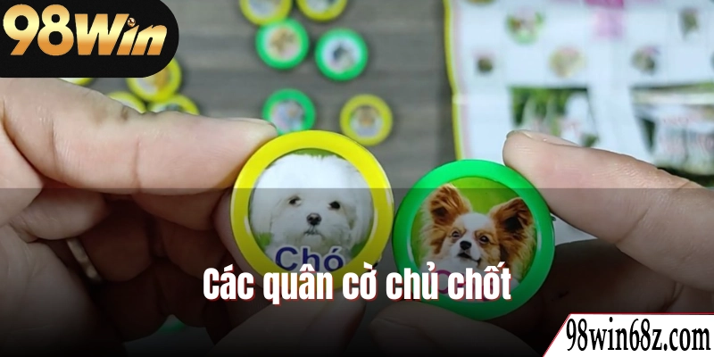 Sử dụng các quân cờ hợp lý