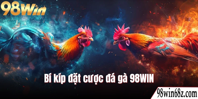 Bí kíp đặt cược đá gà 98WIN bách phát bách trúng từ cao thủ