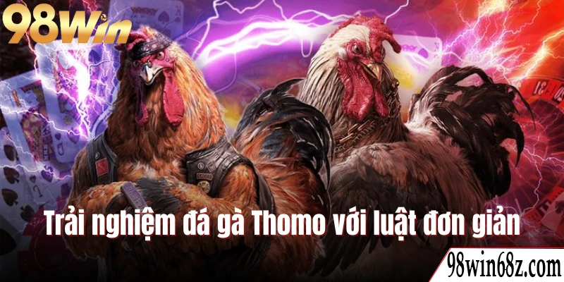 Trải nghiệm đá gà Thomo với luật chơi cực đơn giản