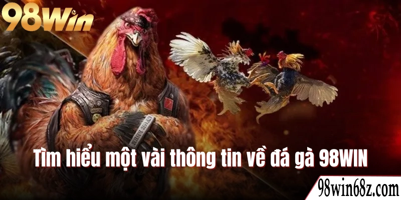 Tìm hiểu một vài thông tin về đá gà 98WIN