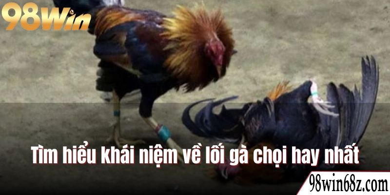 Tìm hiểu khái niệm về lối gà chọi hay nhất